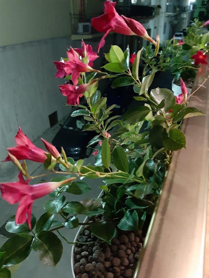 몰라디바리 Casa Lina 아파트 외부 사진